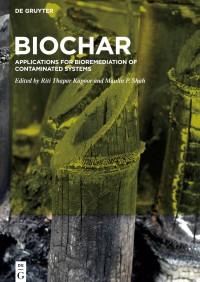 Image of Biochar Application For Bioremeditation of Contamined Systems.