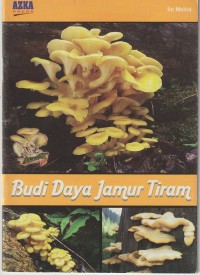 Image of budidaya Jamur Tiram.