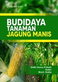 Image of Budidaya Tanaman Jagung Manis.