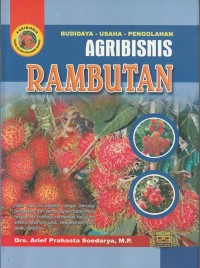 Image of Budidaya -usaha-pengolahan Agribisnis rambutan.