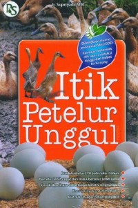 Image of Itik Petelur unggul.