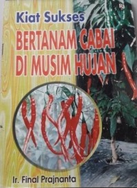 Kiat Sukses Bertanam Cabai di Musim Hujan.