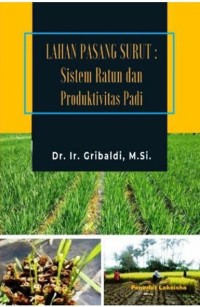 Lahan Pasang Surut : Sistem Ratun dan Prosuktivitas Padi.