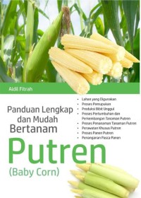Panduan lengkap dan mudah bertanam putren (Baby corn).
