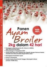 Panen ayam Broiler 2 kg Dalam 42 hari.