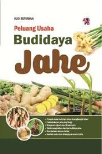 Peluang Usaha Budidaya Jahe.