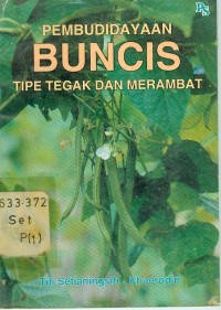 Pembudidayaan Buncis Tipe Tegak dan Merambat.