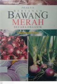 Praktis Bertanam Bawang Merah Secara Organik.