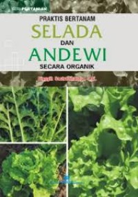 Praktis Bertanam Selada dan Andewi Secara Organik.