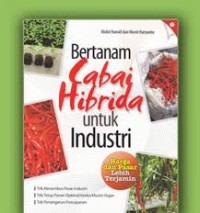 sukses bertanam cabai hibrida.