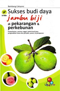 Sukses Budi Daya Jambu Biji di Pekarangan & Perkebunan.