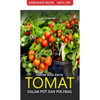 Teknik Budidaya Tomat Dalam Pot dan Polybag.