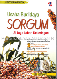 Usaha Budidaya Sorgum si Jago Lahan Kekeringan.