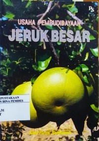 Image of Usaha Pembudidayaan Jeruk Besar.